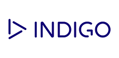 Indigo TG logo